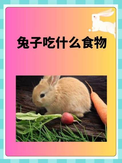 好省收购了兔子优选