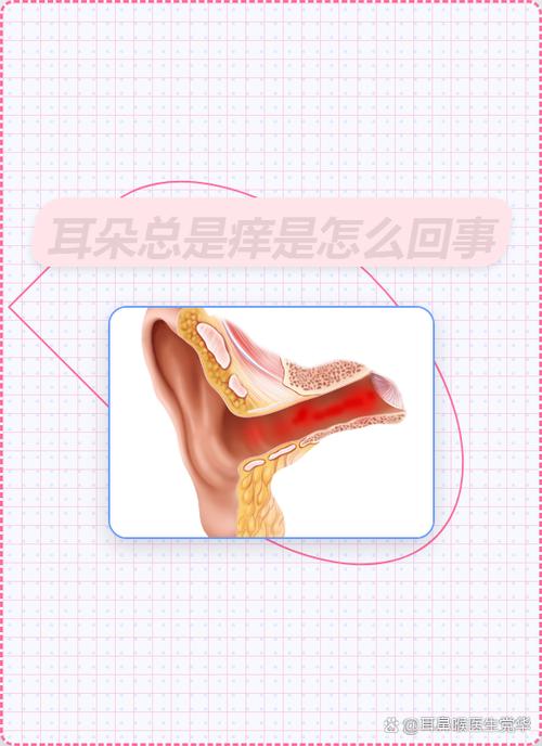 耳屎成块怎样弄出来