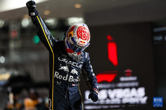 f1赛车冠军缩略图