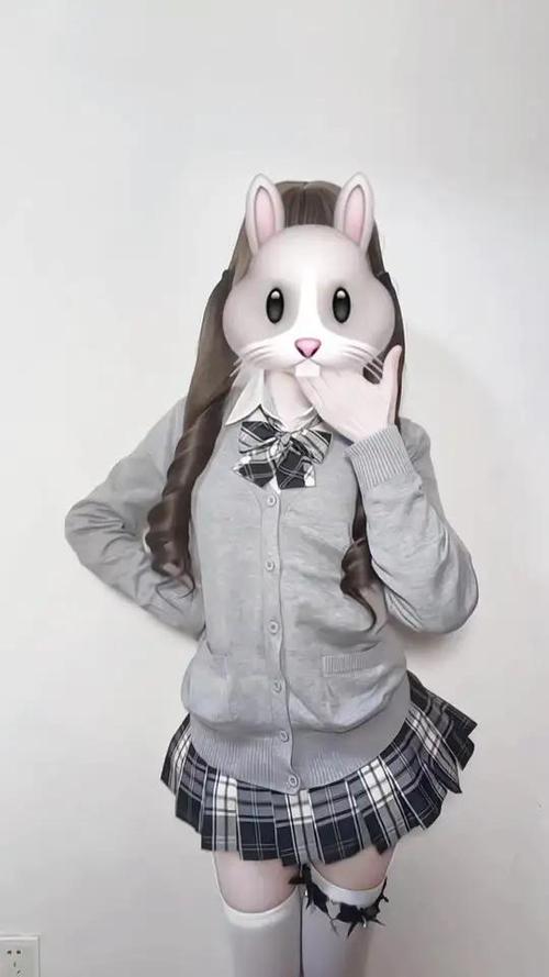 p图挡脸素材