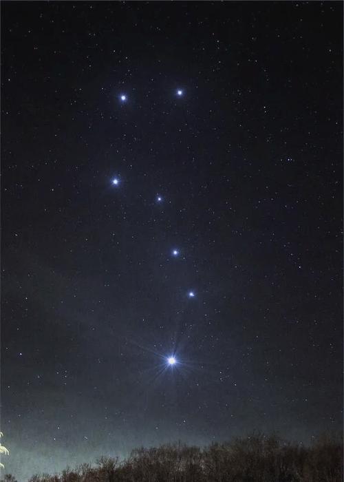 七星高清在线观看