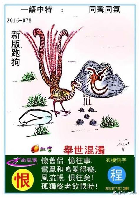 新一代老跑狗新跑狗网