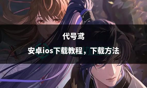 代号鸢官方正版安装教程