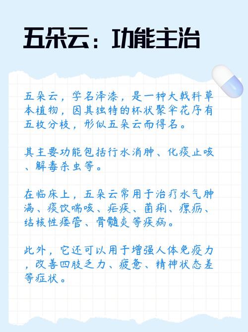 五朵云的功效与作用