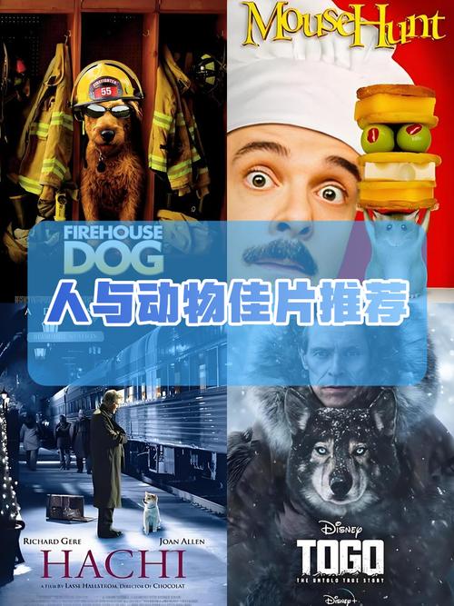 动物与人的电影有哪些好看的