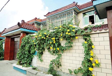 山村桃花源免费阅读图标