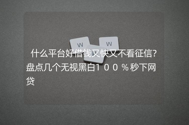 无视黑白100%秒下网贷线上