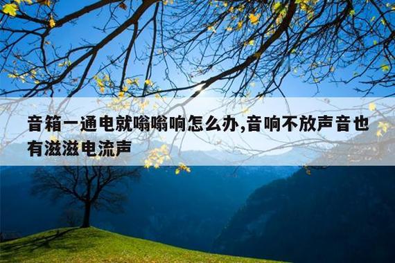 音响通电有嗡嗡声游戏截图