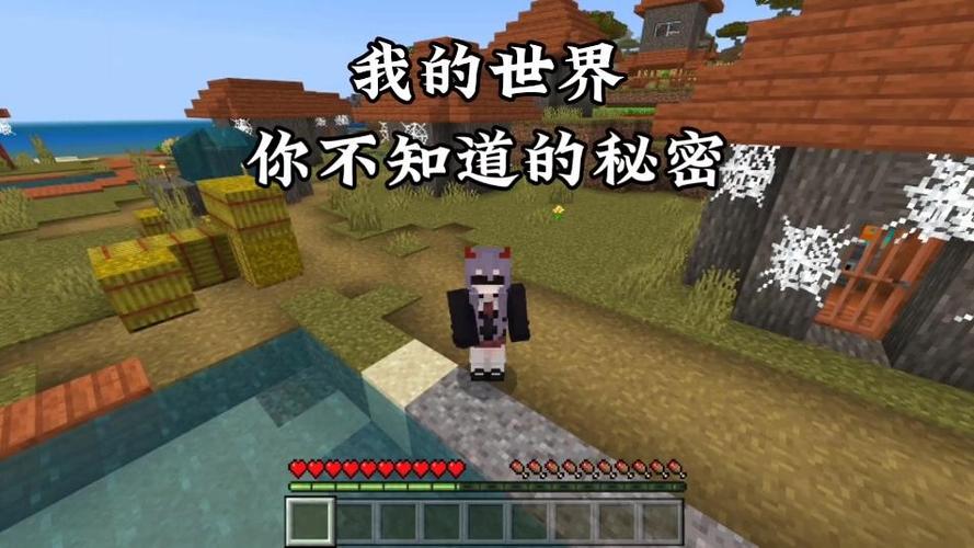 我的世界你不知道的秘密