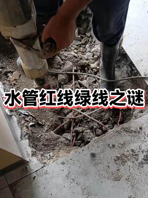 一根红线一根绿线缩略图