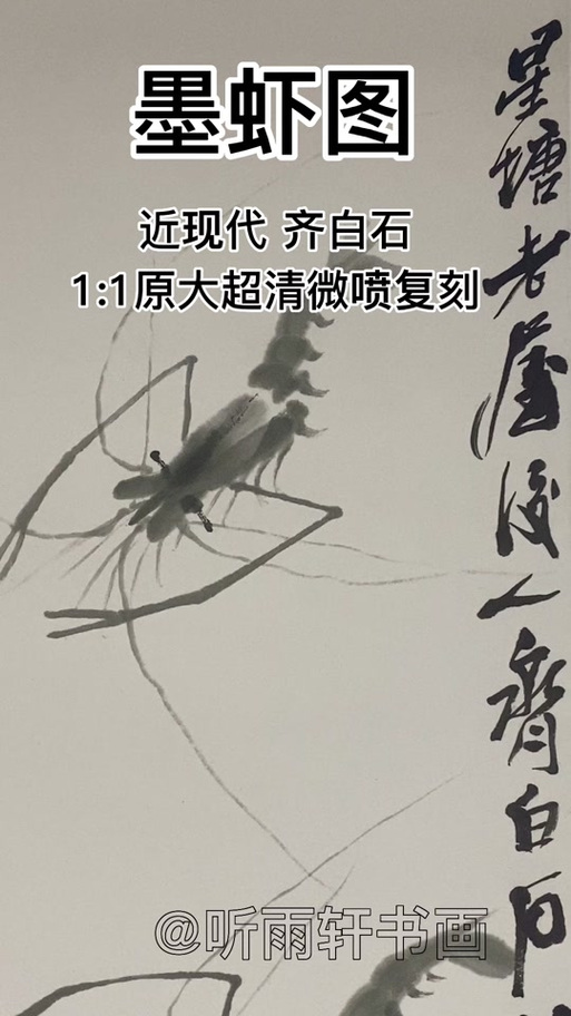 墨虾的作者是谁