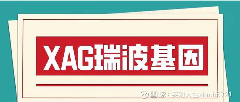 瑞波基因币缩略图