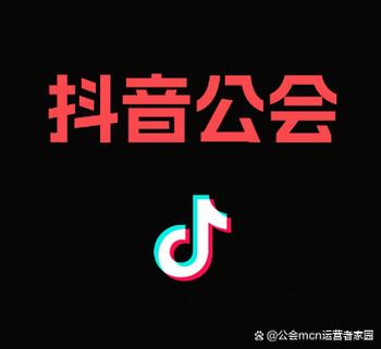 抖音十大公会