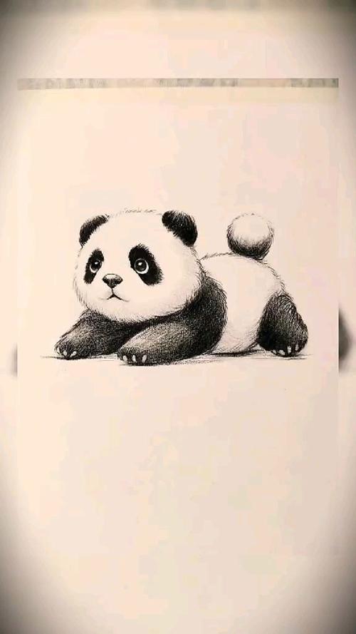 熊猫绘画官方下载游戏截图