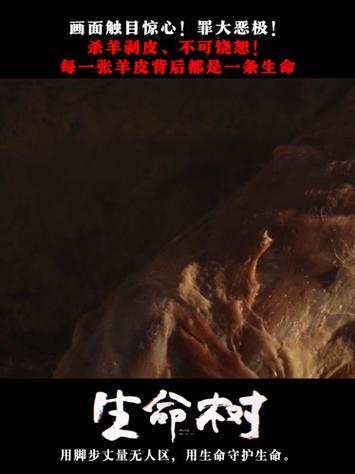 不可饶恕的生命