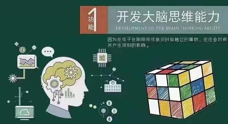 开发脑部能力