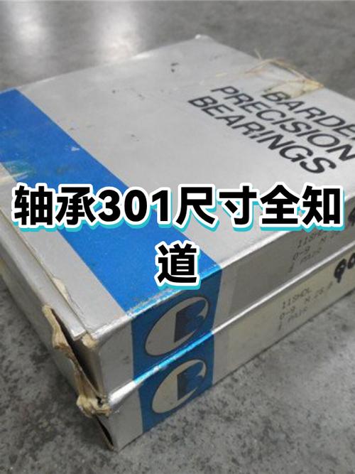 301轴承尺寸参数