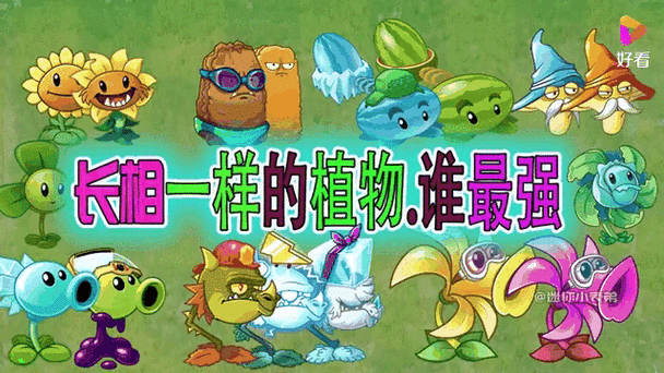 植物大战僵尸内置绿色钥匙版