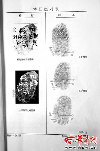 左手指纹及所属类型