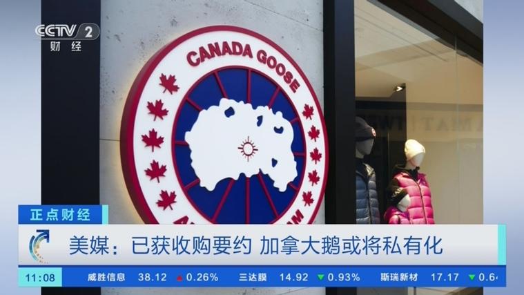 加拿大大鹅