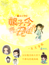 五夫夺欢:女尊