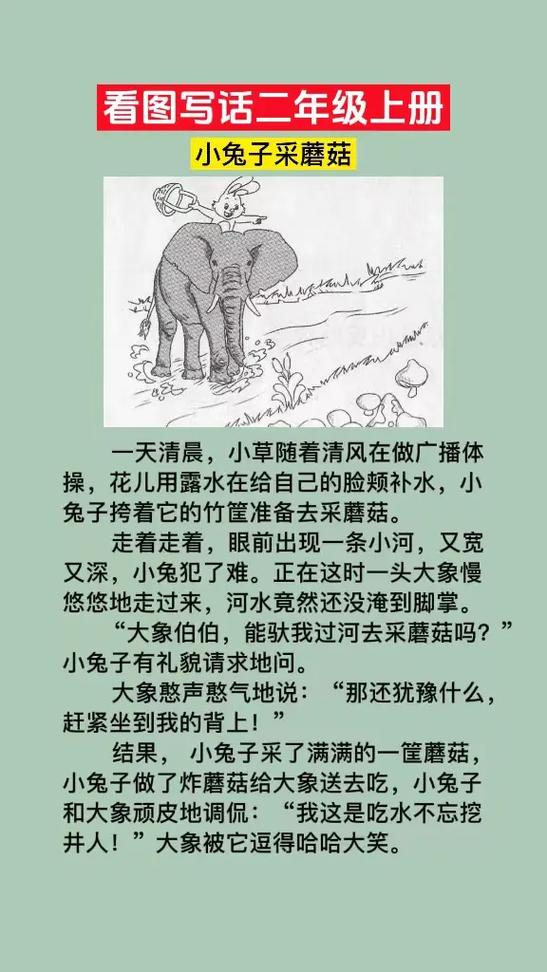 大班大象救兔子教案点评
