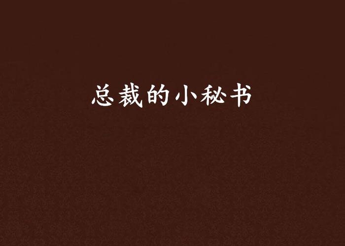 总裁的小秘书图标