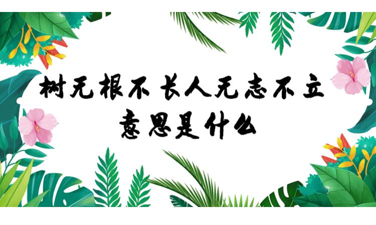 树无根不zhang还是chang