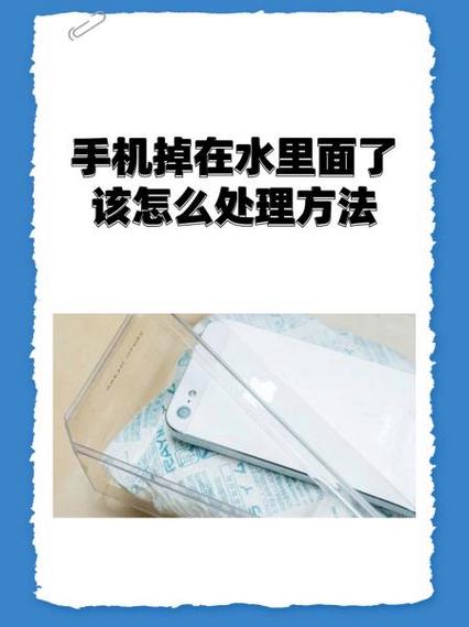 手机掉水里怎么修