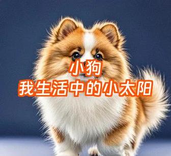 小狗魔力解锁版