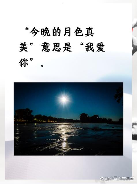 以后的月亮和我爱你什么意思