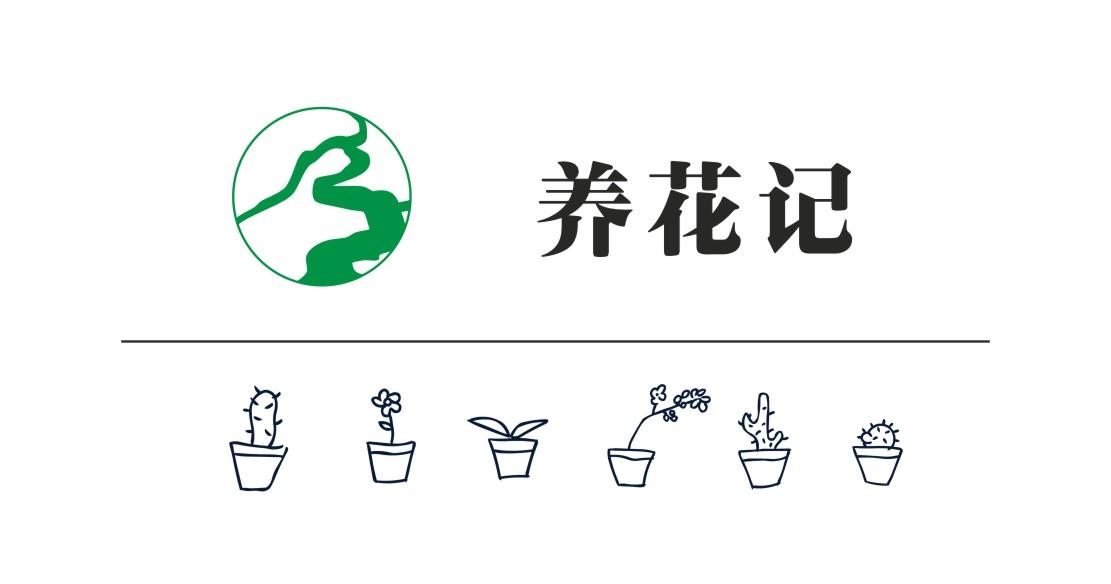养花赚钱APP