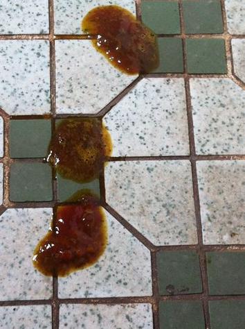狗狗拉稀怎么办最有效的方法
