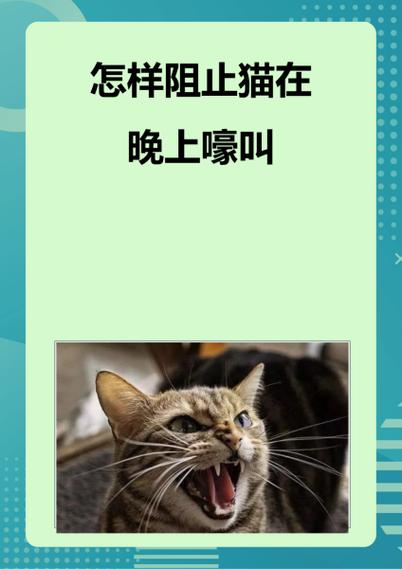 猫一般饿几天没事