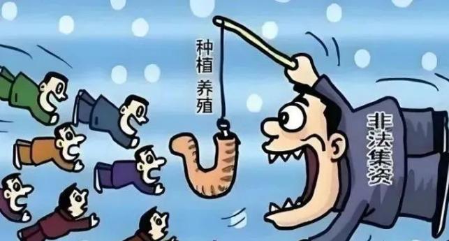 远程养殖是讽刺什么