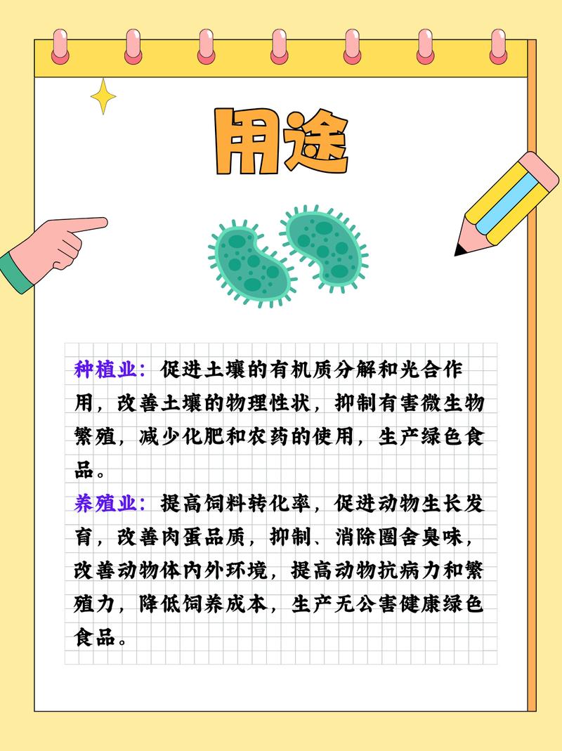 Udietoo的用途