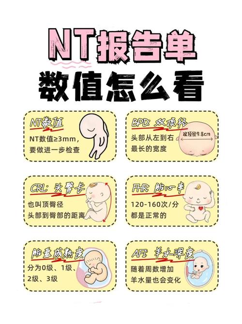 NTEX缩写是什么意思