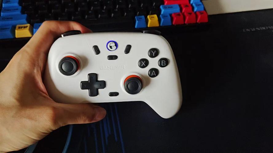 小鸡模拟器 xbox手柄缩略图