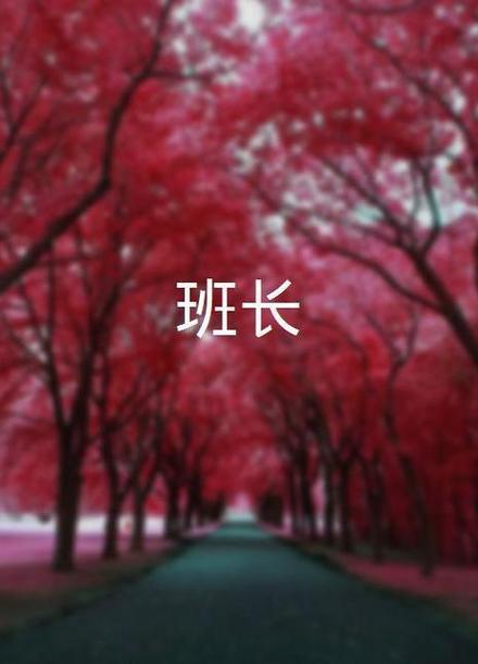 班长截图