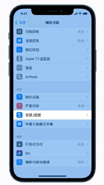 苹果手机怎么看单声道多声道