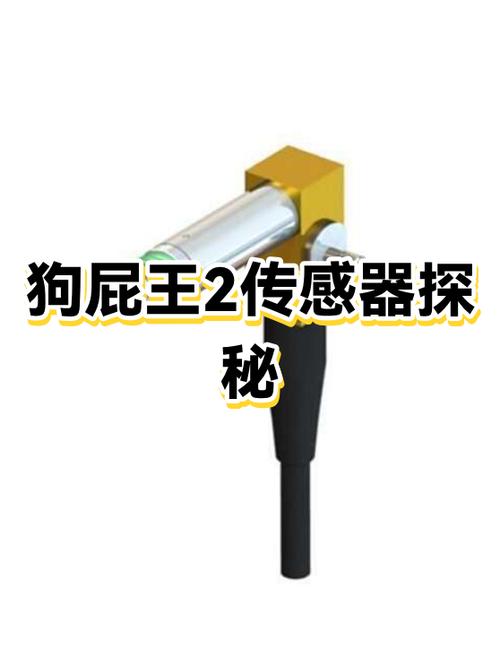 狗屁王二代怎么调dpl