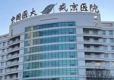沈阳医大和盛京医院哪个好