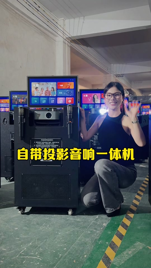 连接投影仪后音响没有声音缩略图