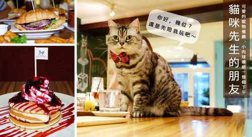 猫咪动物餐厅内置菜单