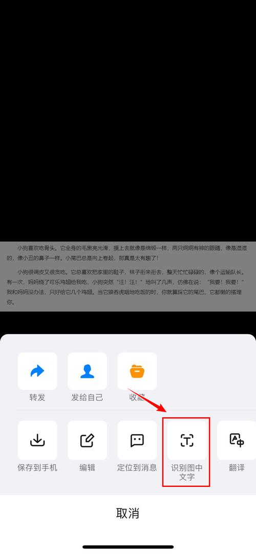 钉钉图片识别文字方法