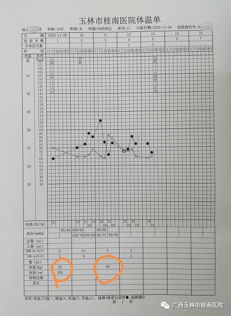 体温单记录方法