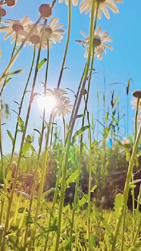 木晚晚全文免费阅读缩略图