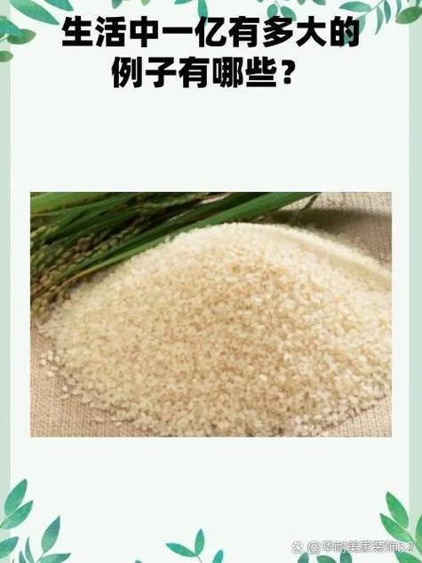 一吨大米多少钱
