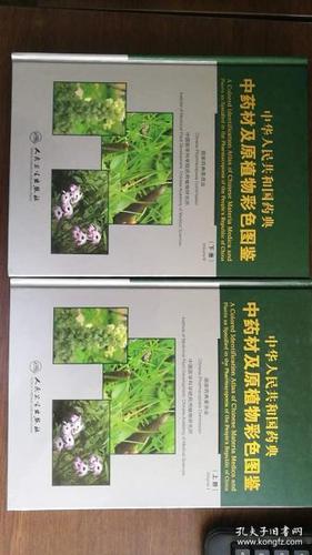 芙蓉药用价值与功效