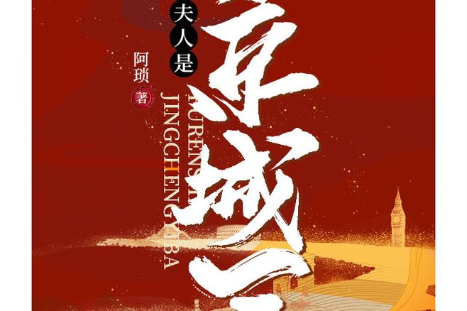 夫人是京城一霸TXT